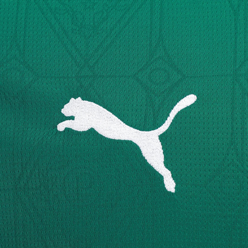 camisa-palmeiras-verde-torcedor-25-26-puma-sportingbet-1