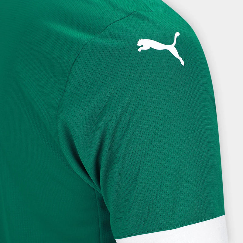 camisa-palmeiras-verde-torcedor-25-26-puma-sportingbet-manga